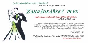 pozvánka na ples
