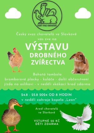 plakát